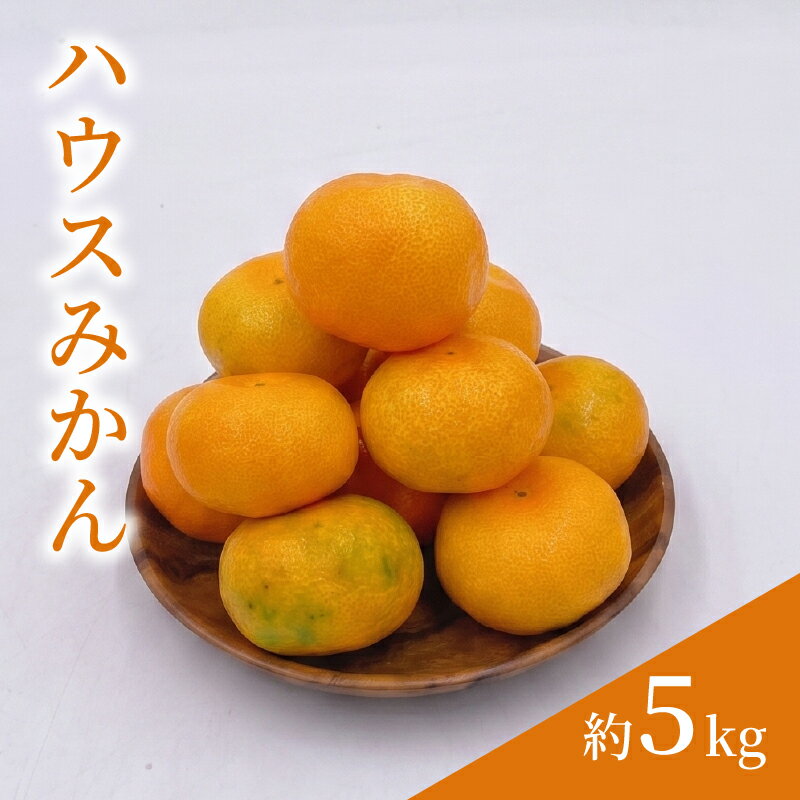 【ふるさと納税】 【7月下旬頃から順次発送】 ハウスみかん 5.0kg / 2S~Mサイズ 〇品 ご家庭用 | 愛媛県産 みかん 蜜柑 オレンジ 柑橘 果物 フルーツ 家庭用 お取り寄せ おすすめ 愛媛県 松山市