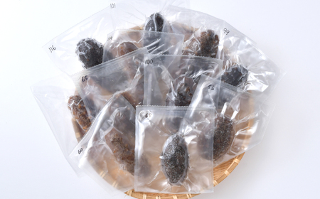 戻し ナマコ 1kg ( 約10本 ～ 20本 ) | es00005 エスエスフーズ なまこ 海鼠 国産 高級食材