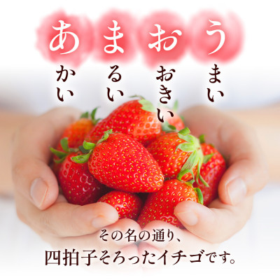 【12月より順次発送】福岡県産 あまおう 500g(250g×2パック)(筑後市)【配送不可地域：離島】