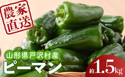 
                  ≪2027年先行予約≫山形県 戸沢村産 農家直送 ピーマン 約1.5kg 2027年7月中旬から順次発送 国産 野菜 やさい 自宅 家庭 産地直送 F7W-0643
                