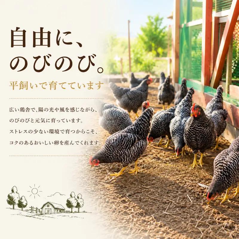 卵 平飼い 自然卵 20個 割れ補償付き