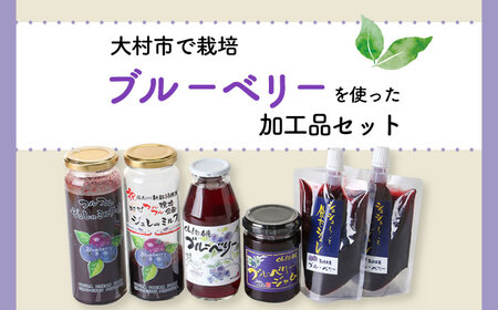 ブルーベリー！ブルーベリー！シュシュオリジナル加工品セット 大村市 おおむら夢ファームシュシュ[ACAA022] フルーツ ブルーベリー ジャム ジュース ジュレ フルーツ ブルーベリー ジャム ジュ