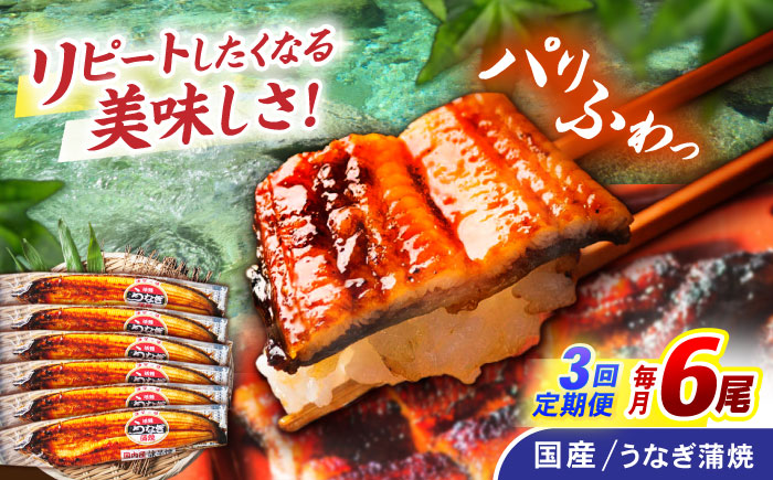 【3回定期便】【諫早淡水】うなぎ蒲焼6尾 / うなぎ 鰻 ウナギ 蒲焼 タレ / 諫早市 / 諫早淡水 [AHAT036]