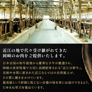 近江牛 切り落とし 400g 【12ヶ月定期便】 