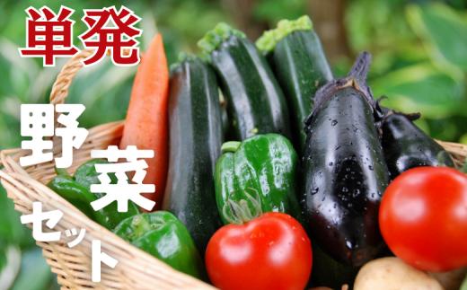 ＼ 農園直送 ／ 旬 の 採れたて野菜 詰め合わせ 野菜セット 野菜 野菜詰め合わせ 旬の野菜セット 旬の採れたて 酒々井 千葉 セット 季節の野菜 日用品