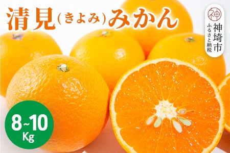 【2026年3月中旬より発送開始】清見(きよみ)みかん 8kg～10kg【みかん オレンジ 柑橘 フルーツ デザート】(H116139)