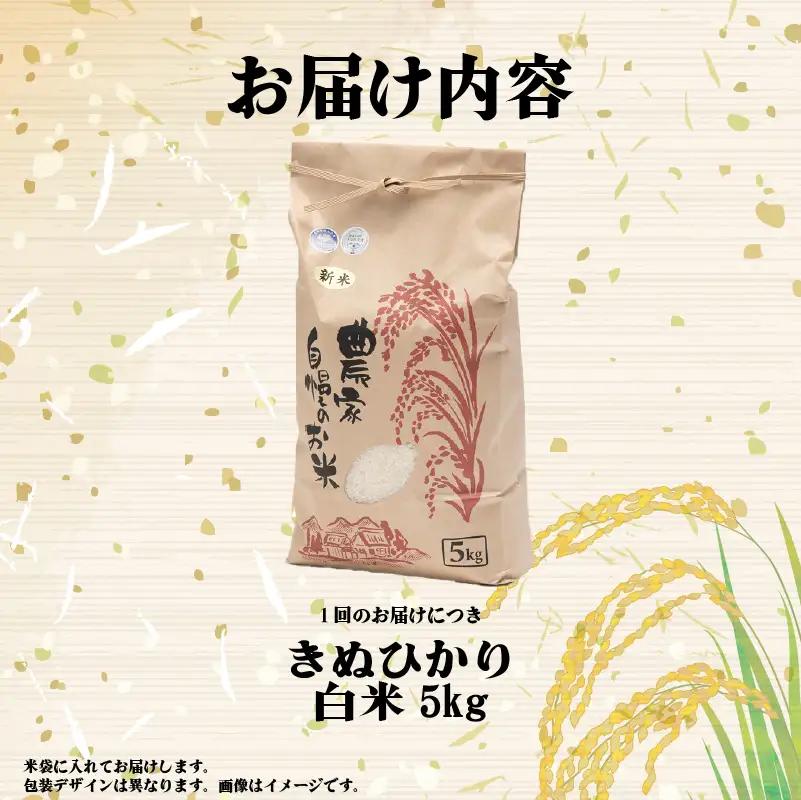 【先行予約】令和8年産 きぬひかり 5kg 定期便 12ヶ月 白米 米 