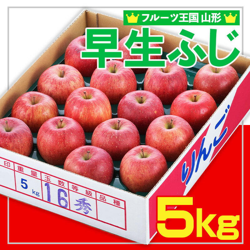【ふるさと納税】☆フルーツ王国山形☆ りんご (早生ふじ) 秀品 5kg【令和8年産先行予約】FS25-753