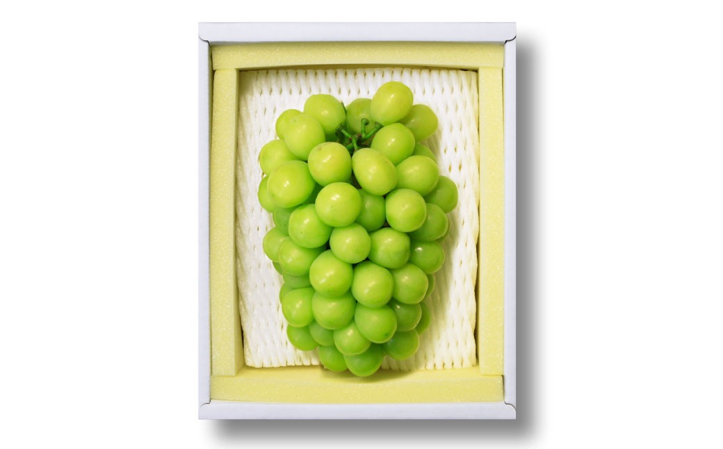 ぶどう 2026年 先行予約 シャイン マスカット 晴王 2房 合計1.4kg以上 