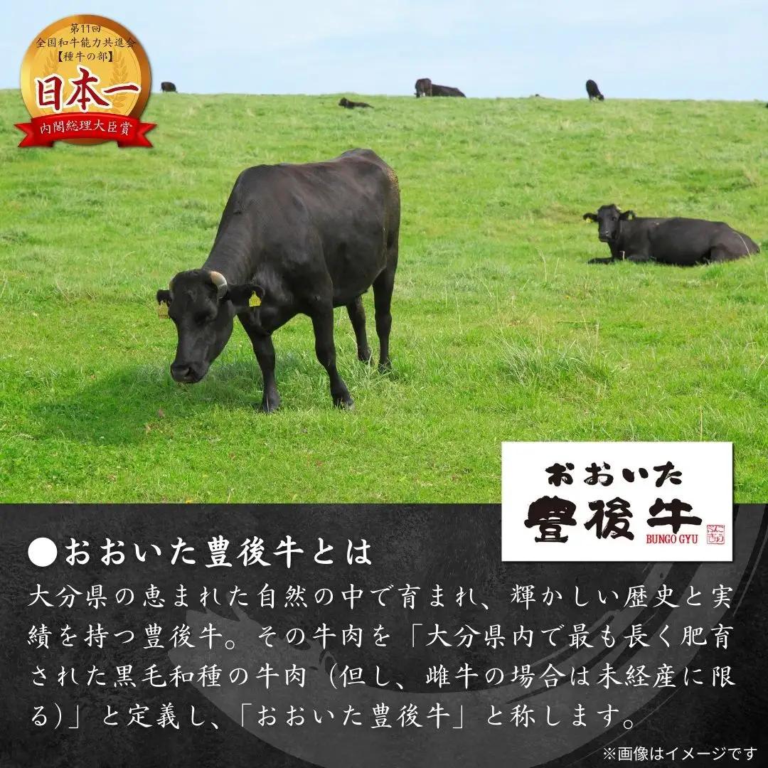 豊後牛 切り落とし 800g | 牛 切り落とし