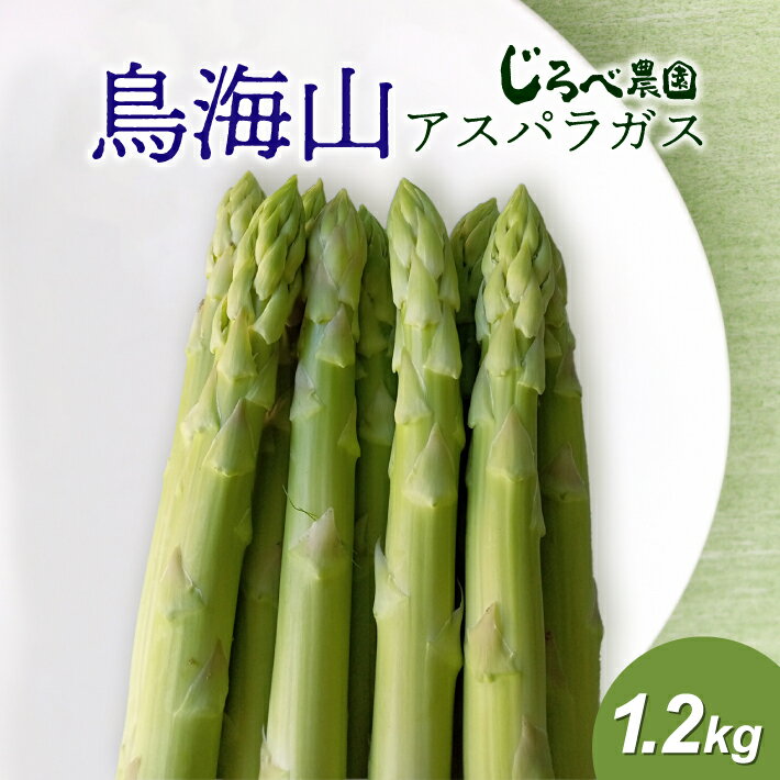 【ふるさと納税】鳥海山アスパラガス 1.2kg 3月下旬〜8月下旬頃お届け 山形県遊佐町産 冷蔵便 ※離島発送・着日指定不可 野菜 アスパラ グリーンアスパラガス 農家直送 産地直送 山形県 遊佐町 庄内 春 夏