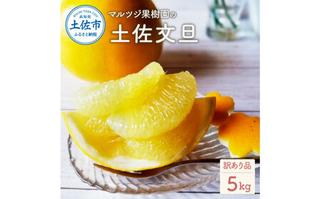【先行予約】【訳あり】マルツジ果樹園の土佐文旦 約5kg 高知県土佐市 【マルツジ果樹園】 [BQAN005]