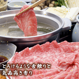 【隔月3回定期便】近江牛しゃぶ用肩ロース600g [AL32_X1] 近江牛