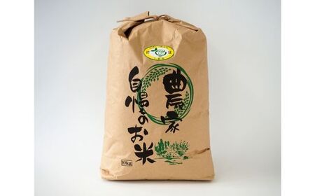 令和7年産 新米【エコファーマー認定】 コシヒカリ 白米 10kg ／ 米 こめ コメ ごはん ご飯 お米 おこめ 精米 白米 新米 エコファーマー認定 10kg 令和7年 千葉県 東庄町 産地直送