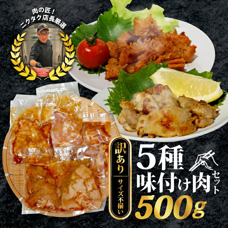 【ふるさと納税】 【訳あり】味付け肉 5種類セット 500g 特製つけだれ 味付け肉 漬け込み肉 お手軽焼肉 今夜の一品 焼くだけ てっちゃん みそ味 とりもも 塩だれ味 上ミノ 味噌漬け コク 甘み 特L規格 ミノ ねぎ塩 葱 ネギ 鶏もも肉 もも 焼き肉 BBQ バーベキュー キャンプ