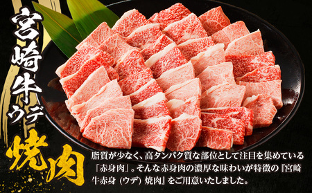 牛肉 赤身 牛肉[宮崎牛 ウデ 焼肉 700g]