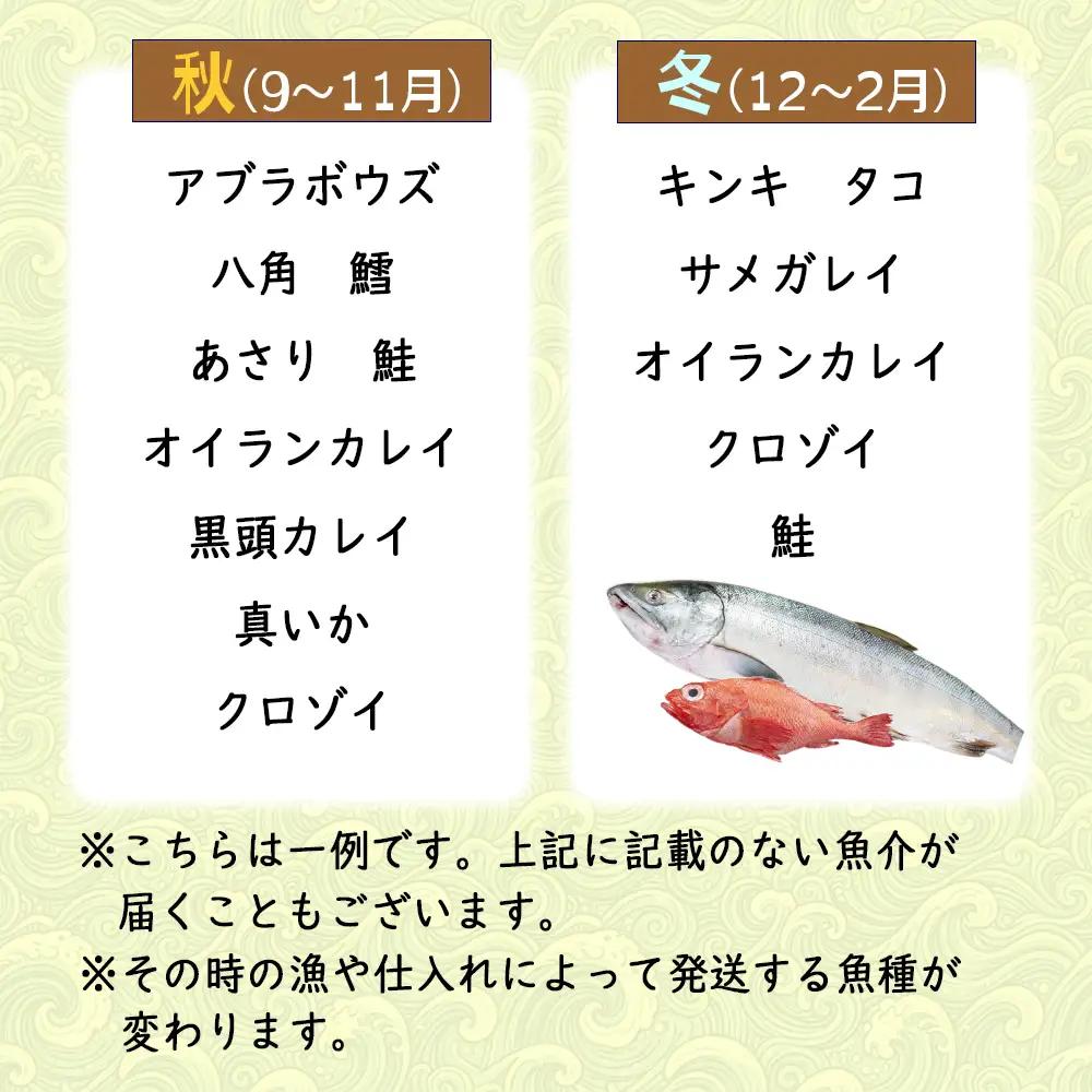 ＜定期便12回＞北海道産 旬の魚介 4～5種 お楽しみ定期便