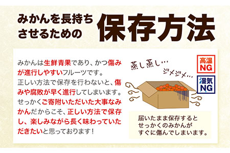 [ 訳あり ] 和歌山 有田 みかん 約 10kg (S～Lサイズいずれかお届け) 厳選館《11月上旬-1月末頃出荷》和歌山県 日高川町 有田みかん みかん 蜜柑 ミカン 柑橘 送料無料