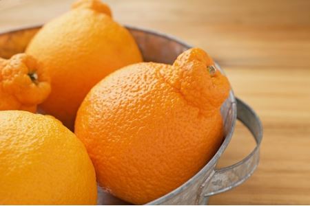 【期間限定】おはら果樹園果実詰め合わせ 約5kg | フルーツ 果物 くだもの 果実 柑橘 柑橘類 セット 詰め合わせ ( みかん ポンカン はるみ 不知火 等) おはら果樹園 国産 産地直送 大分県