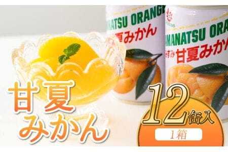 みかん 甘夏みかん 甘夏缶詰 12缶 固形量160g
