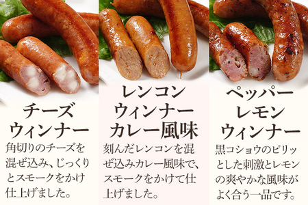 10種類のソーセージ 食べ比べ セット（Oセット） ウィンナー 生ウィンナー うえすたん セット 食べ比べ 詰め合わせ 福岡県 志免町