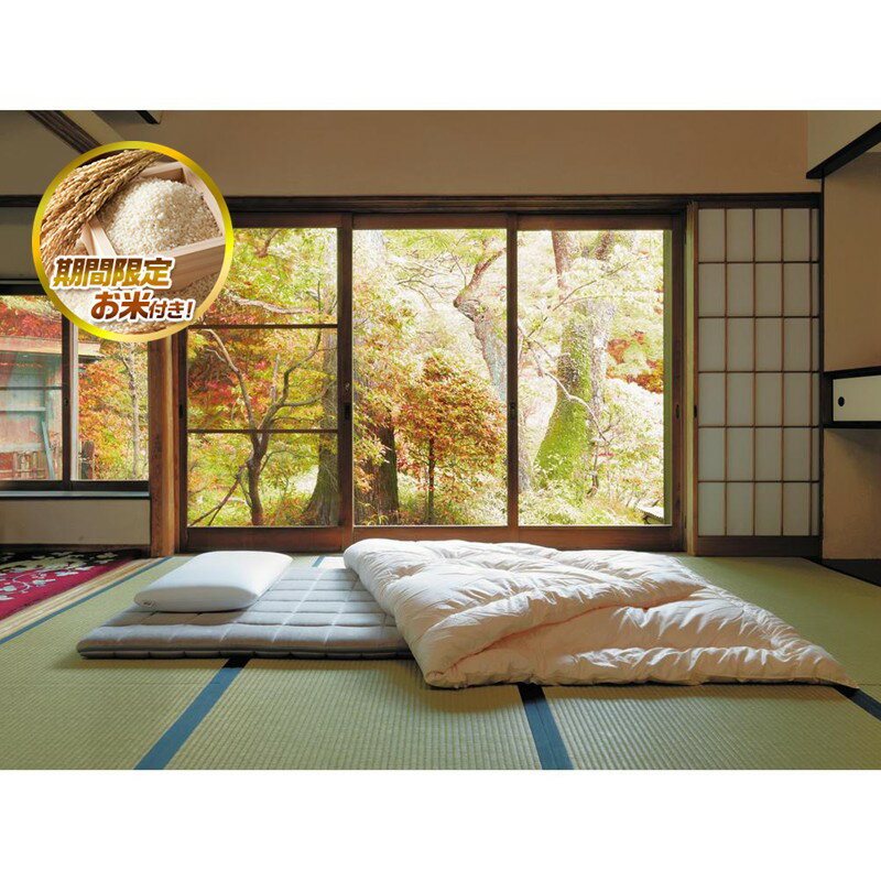 【ふるさと納税】【大府市産お米2kg付】エアウィーヴ 四季布団 シングル セミダブル ダブル シングルロング 耐熱強化モデル | 敷き布団 敷布団 敷布とん 敷ふとん マットレス 高反発 高反発マットレス 洗える エアウィーブ
