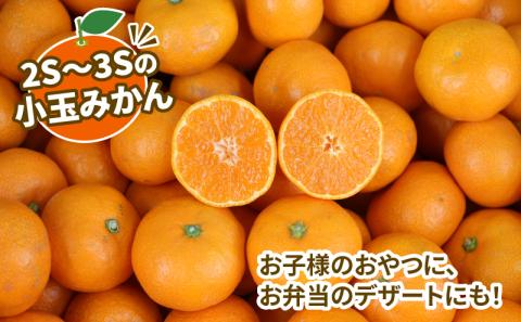 訳あり 小玉みかん 南柑20号 10kg 2S ～ 3S サイズ不揃い 玉津みかん ニュービジネスユニット 中生 温州みかん 温州 小玉 みかん 小みかん 果物 くだもの フルーツ 柑橘 蜜柑 農家直