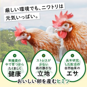 Mサイズ 5kg 約90個（80個＋割れ補償10個） 約半世紀卵づくり一筋 ！『下川六〇酵素卵』 下川ろくまる あべ養鶏場 割れ補償付き たまご F4G-0302