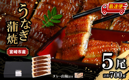 【最速便】【日時指定可能】宮崎県宮崎市産　うなぎの蒲焼　約700g（約140g×5尾）タレ・山椒セット_M325-004-2W