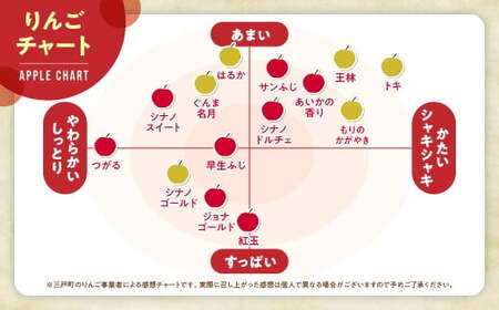 青森県産りんご サンふじ 訳ありりんご 約3kg サイズおまかせ 青森県 三戸町 BW-25-001 