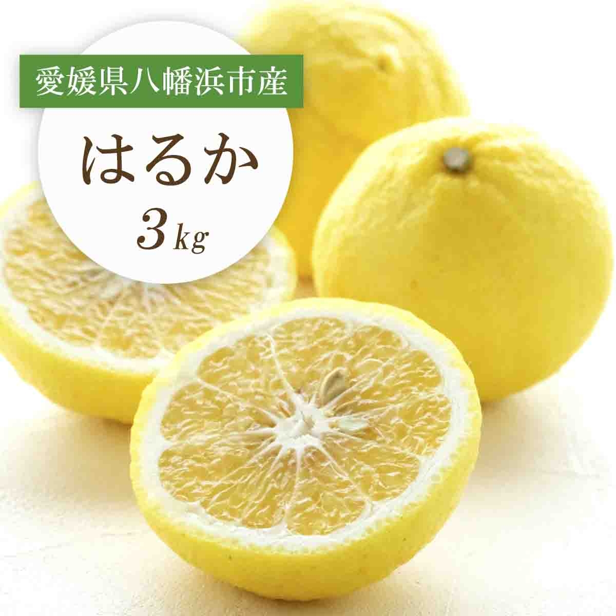 
                  ＜2026年2月以降発送＞すっきり甘い!愛媛県八幡浜市産はるか 3kg＜C25-204＞【1612464】 YWTAP145
                