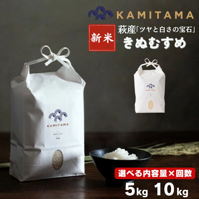 【ふるさと納税】令和8年度産 新米 きぬむすめ 5kg～10kg コメ こめ 萩産 KAMITAMA