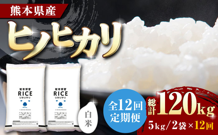
            《 新米先行予約 》【全12回定期便】2025年10月より順次発送  ヒノヒカリ 白米 10kg【株式会社  農産ベストパートナー】定期便 10kg 精米 特A ヒノヒカリ ひのひかり コメ 米 お米 熊本県 熊本県産 ごはん 白米  [ZBP079]
          