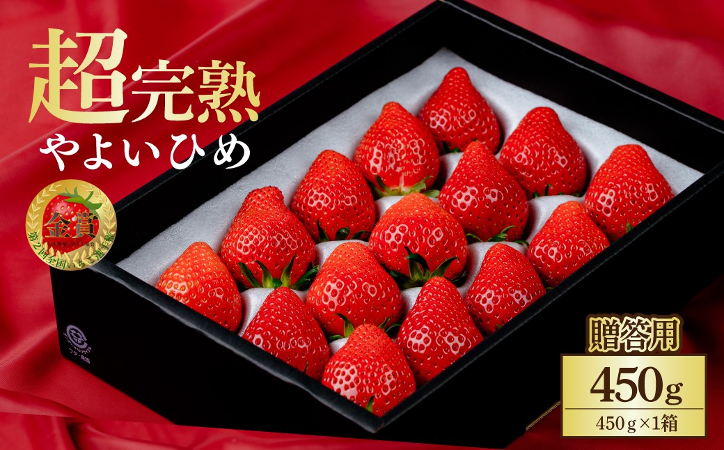 
            【先行受付：選べる発送月】いちご 鈴木ファームの朝摘み やよいひめ ギフト 450g×1箱 | いちご イチゴ 苺 とちあいか 完熟 甘い あまい 果物 フルーツ 贈答 ギフト プレゼント 鈴木ファーム 栃木県 茂木町
 
          