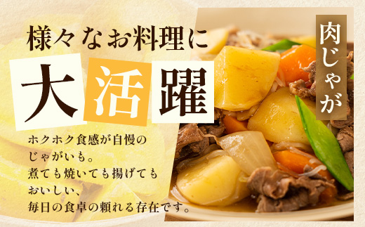 【先行予約】じゃがいも 馬鈴薯 (バレイショ) ≪2L～L≫ 約10kg×1箱 /ニシユタカ (約30個) ≪ 2026年3月20日頃より順次発送≫ CS-1｜産地直送 旬 ジャガイモ 芋 ポテト ば