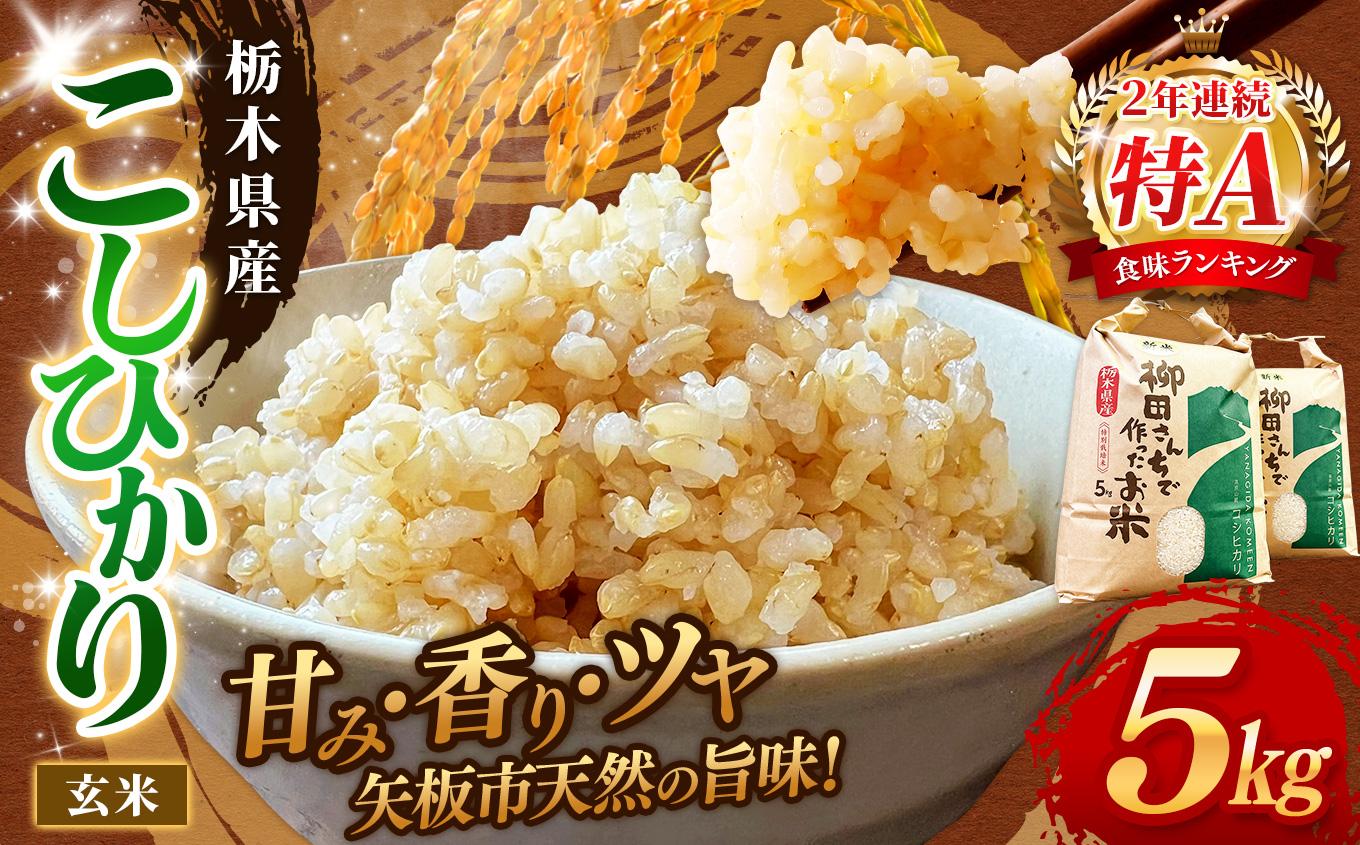 矢板市特別栽培米 お米 訳あり こしひかり 玄米 5kg |栃木県 矢板市