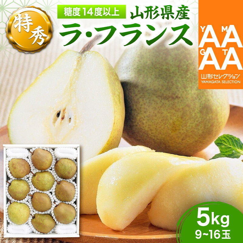 【ふるさと納税】西洋梨 ( ラ・フランス ) 5kg 特秀品 大玉 ラフランス 洋なし 西洋梨 山形県 上山市 0021-2605