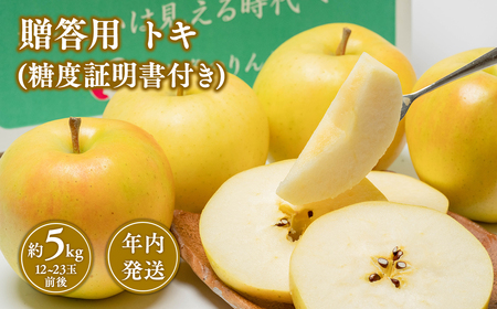 【レビューキャンペーン】【10~12月発送】 贈答用トキ約5kg（糖度証明書付き）【青森県 平川市 那由多のりんご園】贈答 青森 青森県産 平川 りんご リンゴ 林檎 くだもの 果物 フルーツ 【hi-0005-018】