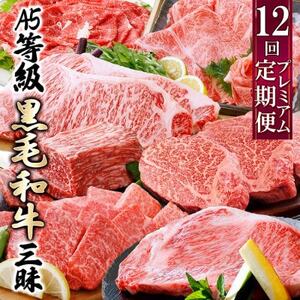 定期便(12回)鹿児島県産A5等級黒毛和牛三昧 JJ-0017_おいしい定期便 美味しい定期便 人気の定期便 おすすめ定期便 お取り寄せ定期便 絶品定期便 リッチ定期便 枕崎市定期便 鹿児島県定期便 牛肉定期便 黒毛和牛定期便 希少定期便 赤身定期便 ジューシー定期便 A5等級定期便 グルメ定期便 焼肉定期便 ステーキ定期便 食べ比べ定期便 牛肉定期便 ギフト定期便 贈答定期便 おいしい黒毛和牛 美味しい黒毛和牛 人気の黒毛和牛 おすすめ黒毛和牛 お取り寄せ黒毛和牛 絶品黒毛和牛 リッチ黒毛和牛 枕崎市黒毛