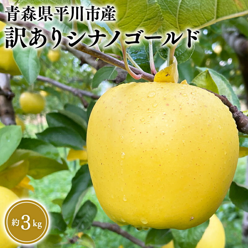 【ふるさと納税】≪12月上旬頃より発送≫青森県産 訳あり シナノゴールド 約3kg【青森県 平川市 なるみ農園】家庭用 訳アリ 青森 青森県産 平川 りんご リンゴ 林檎 くだもの 果物 フルーツ レビューキャンペーン
