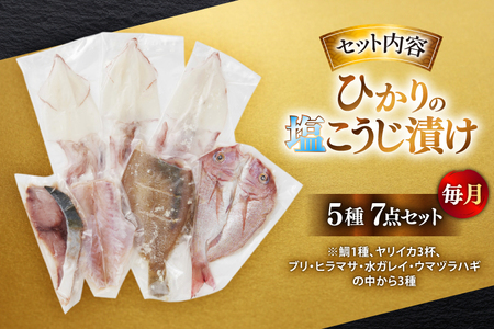 漬け魚 漬魚 塩麹 塩こうじ 魚介 詰め合わせ 6回 定期便 ひかりの塩麹 5種 セット [ひかり 長崎県 平戸市 hr42bgy420393]