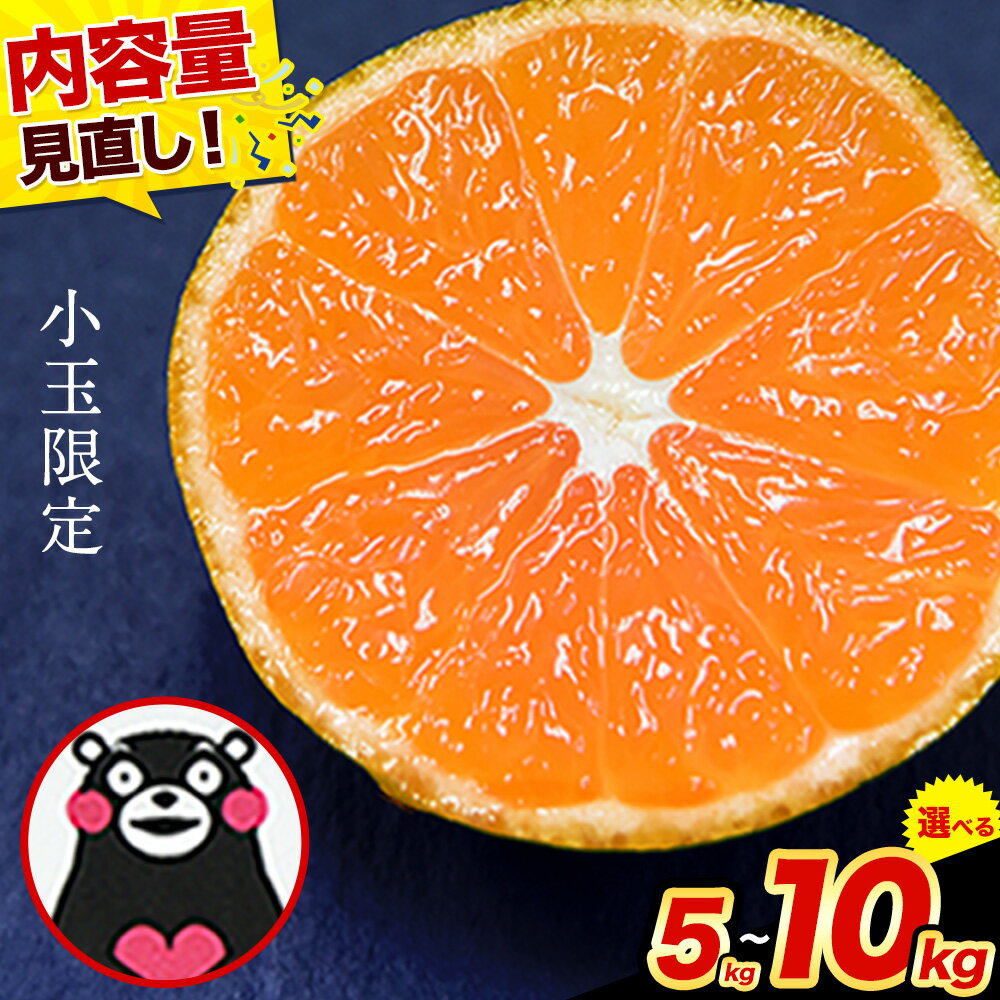 【ふるさと納税】＜内容量見直し中＞先行予約 訳あり みかん 小玉 ひとくちもぎたてみかん 約 5kg 約 7kg 約 8kg 約 10kg S-3Sサイズ 訳あり ご家庭用 熊本県産 期間限定 フルーツ 果物 旬 みかん《2026年9月下旬-12月下旬頃出荷》