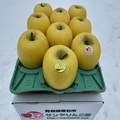 蔵出し春りんご　シナノゴールド　約3キロ　パリッと食感に、マイルドな酸味　農家直送青森りんご　【配送不可地域：離島】【1721057】