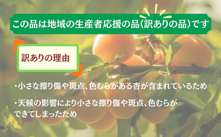 【2026年先行予約】訳あり あんず おまかせ加工用(平和・昭和・信州大実・信月のいずれか) 計約4kg(約2kg×2パック)  