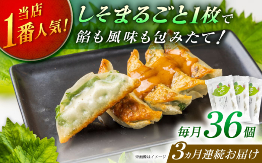 【全3回定期便】【3パック】餃子屋ヒロの 人気のしそ餃子【餃子屋ヒロ】国産 肉 餃子 ぎょうざ ギョーザ ギョウザ 小分け 人気 餃子 おすすめ 餃子 冷凍 おかず おつまみ 名店 ご当地グルメ 神奈川県 開成町 [BDAS010]