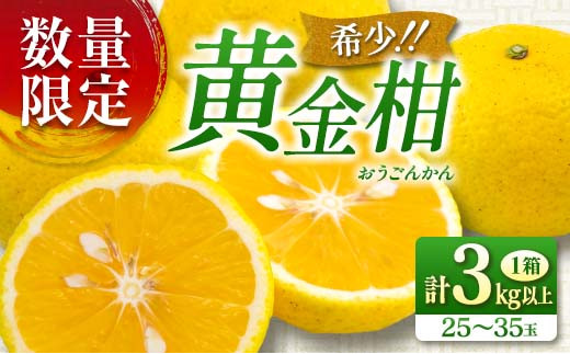 先行予約 新感覚シトラス 黄金柑 おうごんかん 計3kg以上 令和9年発送 期間限定 数量限定 希少 果物 くだもの フルーツ 国産 食品 柑橘 みかん 蜜柑 ゴールデンオレンジ デザート おやつ おすすめ おすそ分け 手土産 ギフト 贈り物 宮崎県 日南市 送料無料_AAV8-25