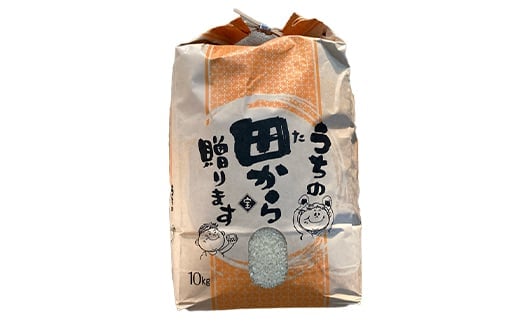 【先行予約】 令和6年産 極みのササニシキ（精米） 10kg 米 お米 おこめ 山形県 新庄市 F3S-2168