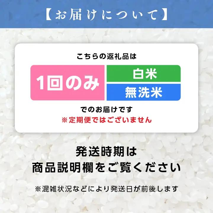 【令和8年先行予約】白米 こしひかり 無洗米 10kg 精米 ブランド米
