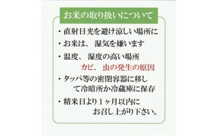 令和7年産 きぬむすめ5kg×2 無洗米 