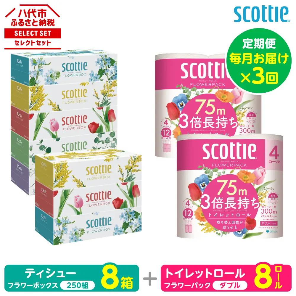 【定期便3回】【毎月お届け】【スコッティ】 組み合わせ ティシュー フラワーボックス 250組 8箱 計24箱 トイレットロール ダブル フラワーパック 3倍長持ち 8ロール 計24ロール ティッシュ トイレットペーパー 日用品 防災備蓄 ストック 備蓄 新生活 防災 消耗品 生活用品 日用消耗品 箱ティッシュ